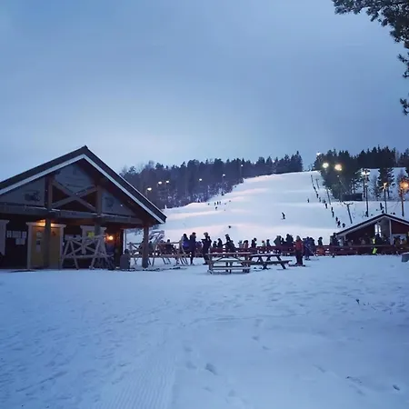Norwegian Vibes With View In Vegarshei *