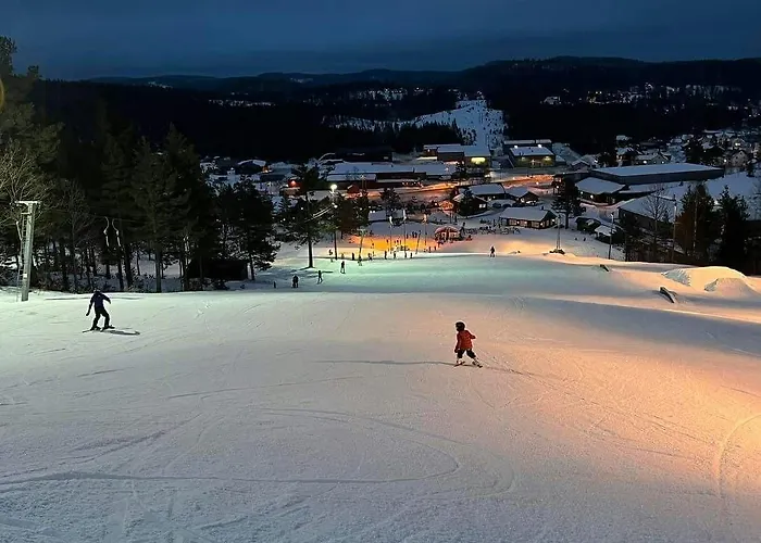 Ferienhaus Norwegian Vibes With View In Vegarshei