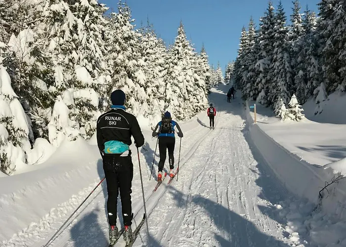 Ferienhaus Norwegian Vibes With View In Vegarshei Gjerstad (Aust-Agder, Gjerstad)