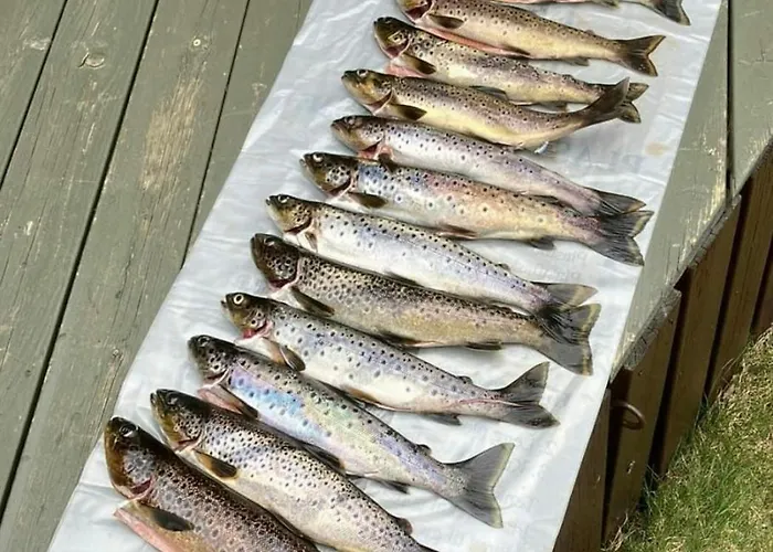 Norwegian Vibes With View In Vegarshei Ferienhaus Gjerstad (Aust-Agder, Gjerstad)