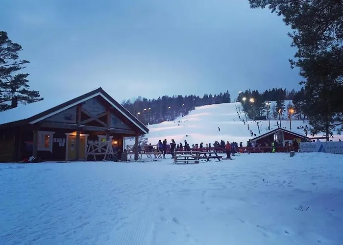 Ferienhaus Norwegian Vibes With View In Vegarshei Gjerstad (Aust-Agder, Gjerstad)